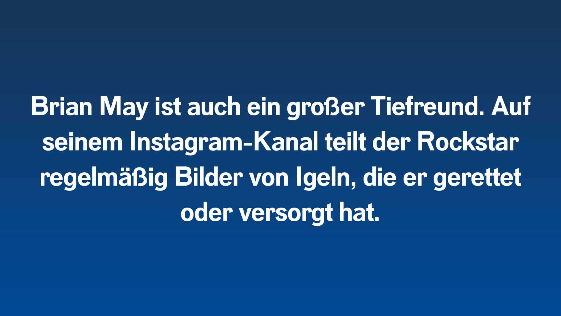 Brian May ist auch ein großer Tiefreund. Auf seinem Instagram-Kanal teilt der Rockstar regelmäßig Bilder von Igeln, die er gerettet oder versorgt hat.