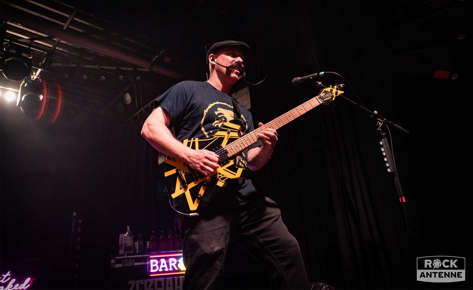 Konzertfotos von Zebrahead